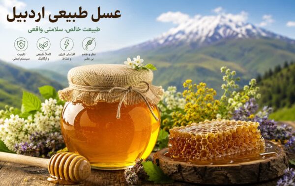 راهنمای خرید عسل طبیعی اردبیل | تفاوت عسل موم‌دار، شهد عسل و روش نگهداری عسل اصل