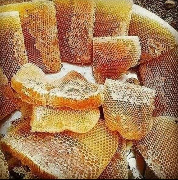 عسل موم‌دار اردبیل